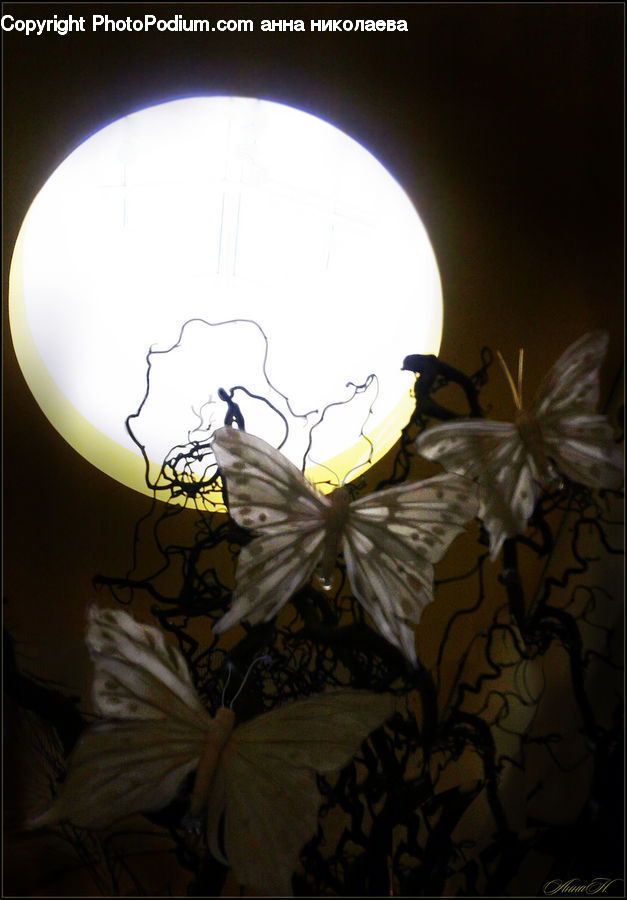 Gift, Flare, Light, Sunlight, Art, Modern Art, Lamp