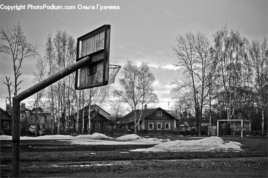 Building, Cottage, Housing, Plant, Tree, Cabin, Hut