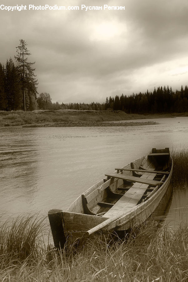 Boat, Rowboat, Vessel, Dock, Landing, Pier, Conifer