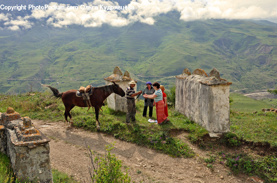 Animal, Horse, Mammal, Architecture, Housing, Monastery, Rock