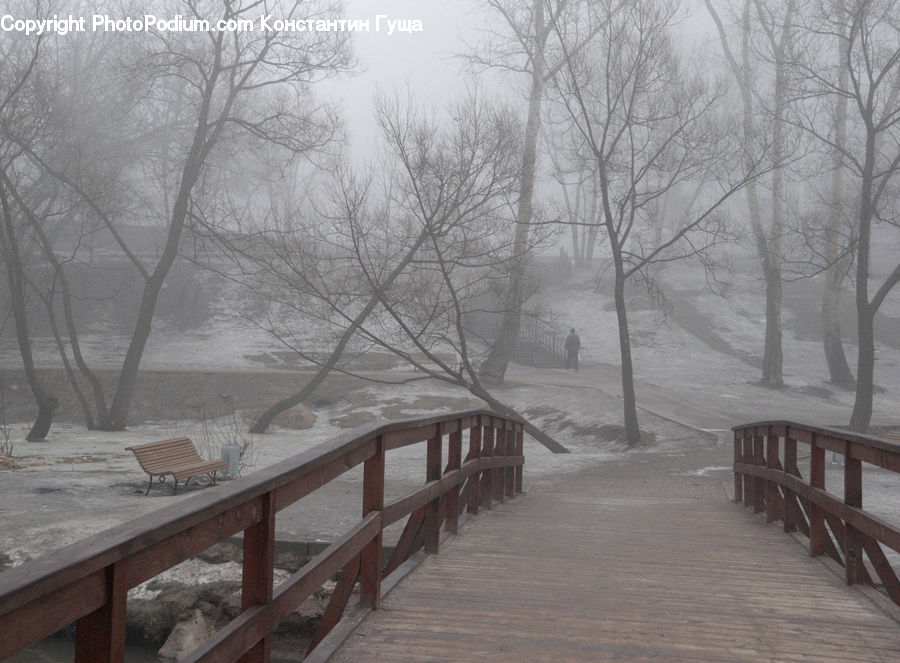 Boardwalk, Deck, Path, Sidewalk, Walkway, Bench, Banister