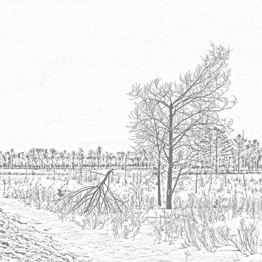 Drawing, Sketch