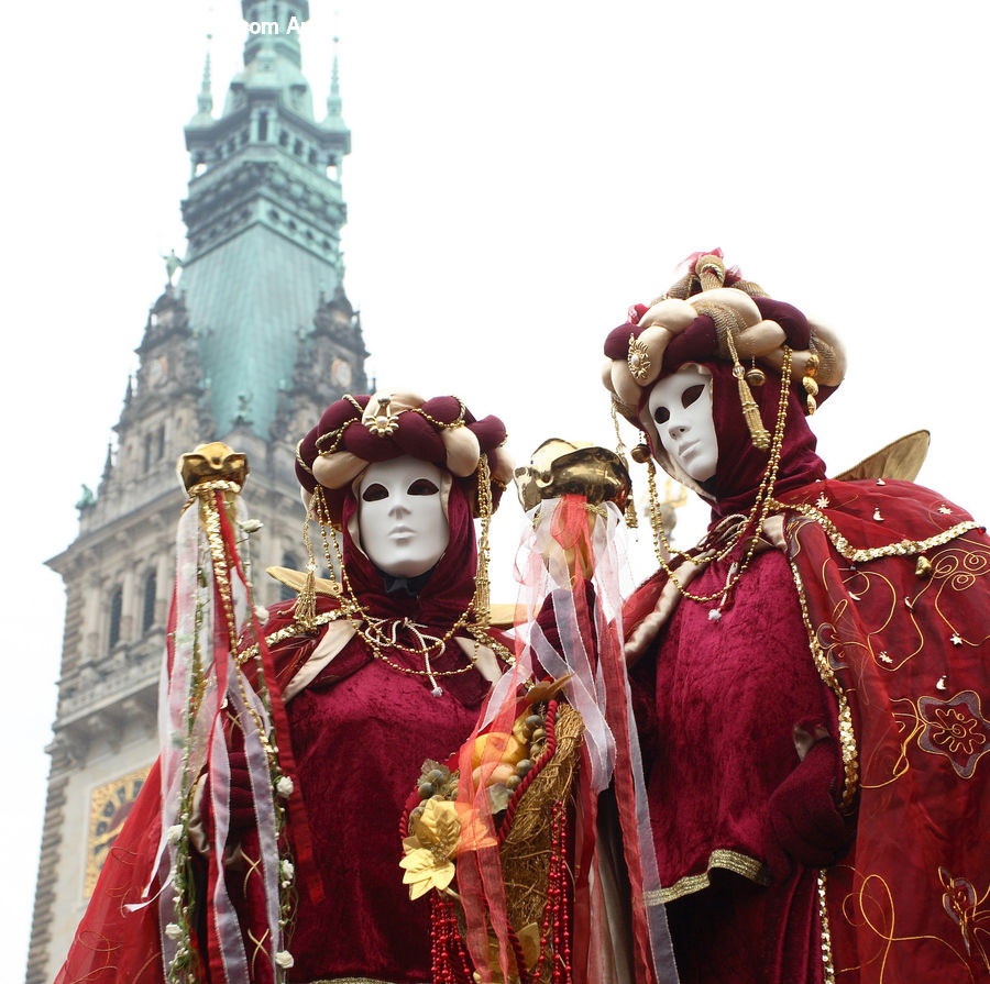 People, Person, Human, Costume, Sari, Carnival, Festival