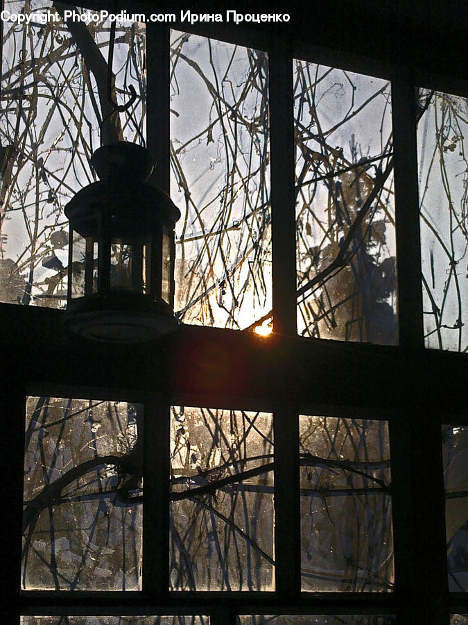 Architecture, Bell Tower, Clock Tower, Tower, Flare, Light, Sunlight
