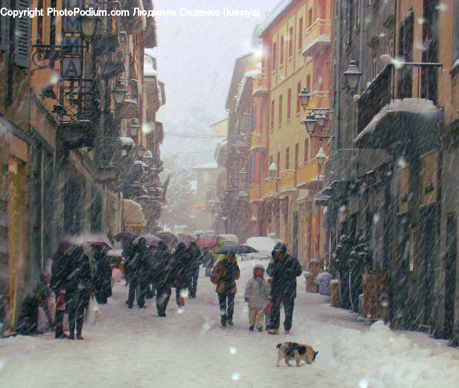 Blizzard, Outdoors, Snow, Weather, Winter, Road, Street