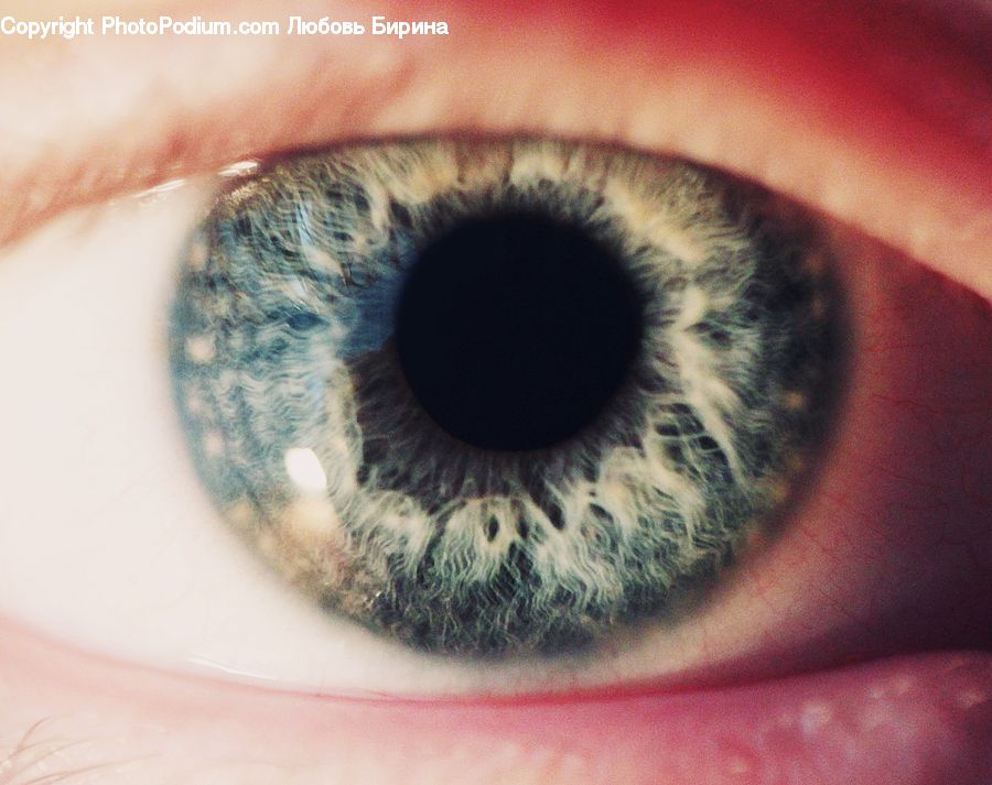 Human, Contact Lens