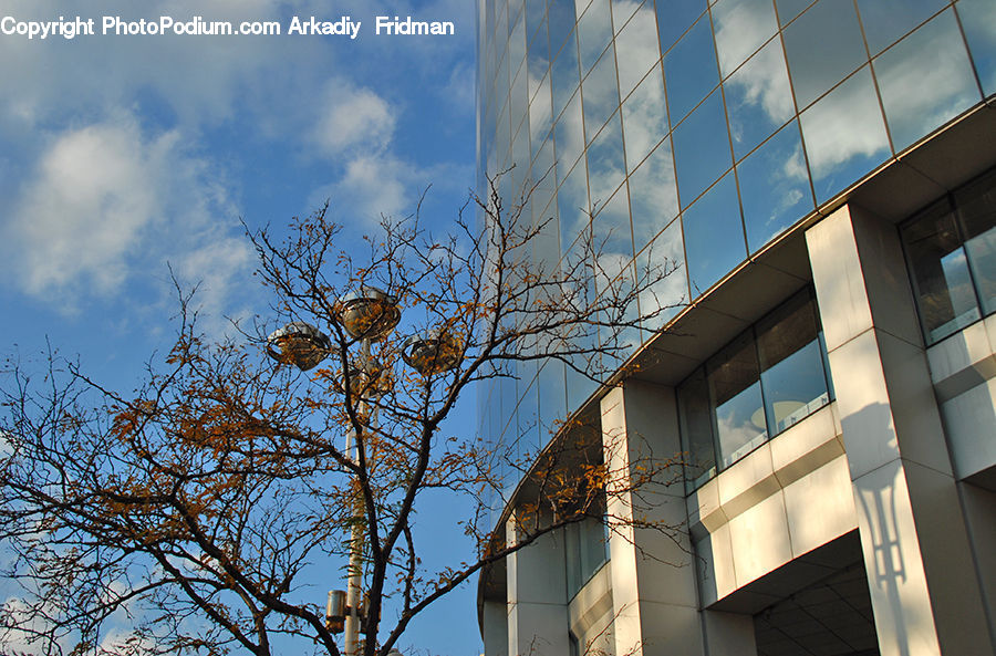 Building, Housing, Office Building, Architecture, Apartment Building, High Rise, City