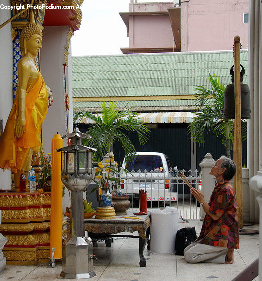 People, Person, Human, Plant, Potted Plant, Buddha, Shrine
