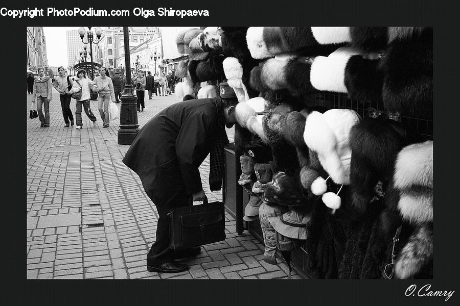 Teddy Bear, Toy, People, Person, Human, Collage, Poster