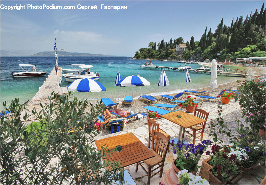 Plant, Potted Plant, Boat, Yacht, Hotel, Resort, Beach