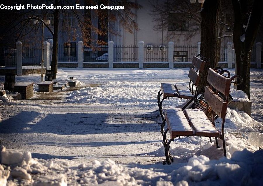 Bench, Park Bench, Tomb, Tombstone, Plant, Potted Plant, Chair