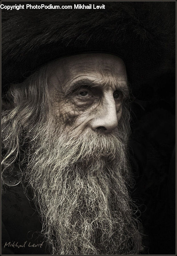 Beard, Hair, Person, Portrait
