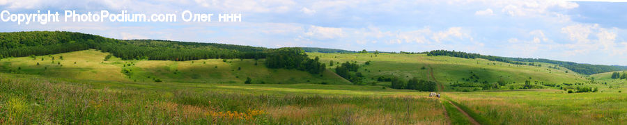 Field, Grass, Grassland, Land, Outdoors, Countryside, Hill