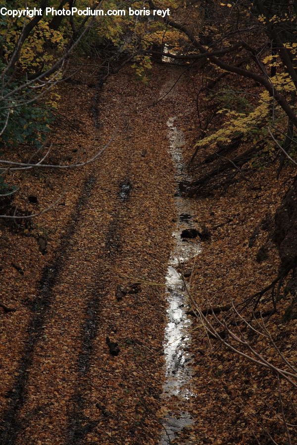 Dirt Road, Gravel, Road, Soil, Asphalt, Tarmac, Landscape