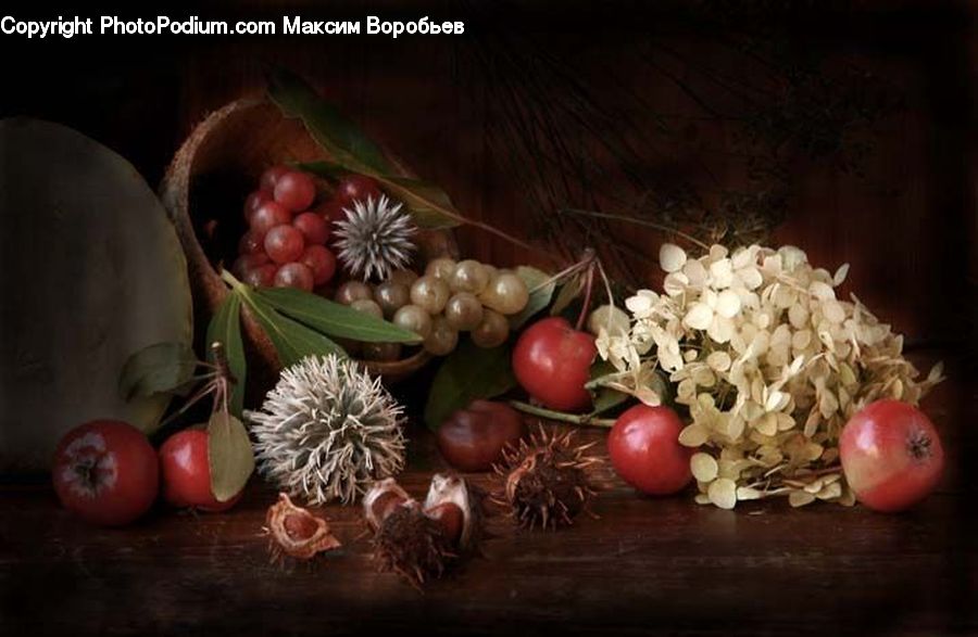 Bowl, Fruit, Onion, Produce, Shallot, Vegetable, Radish