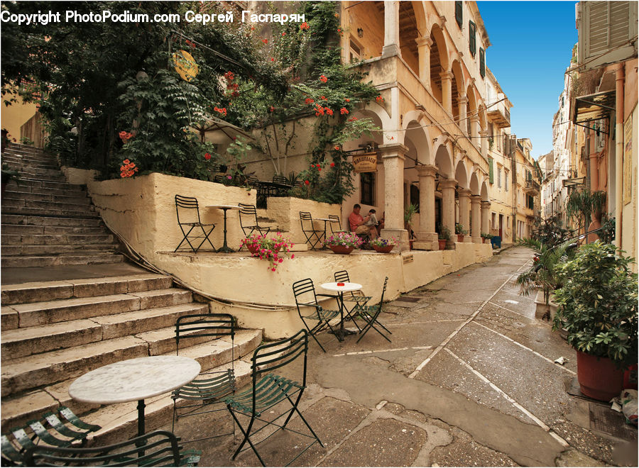 Chair, Furniture, Plant, Potted Plant, Flagstone, Patio, Pot