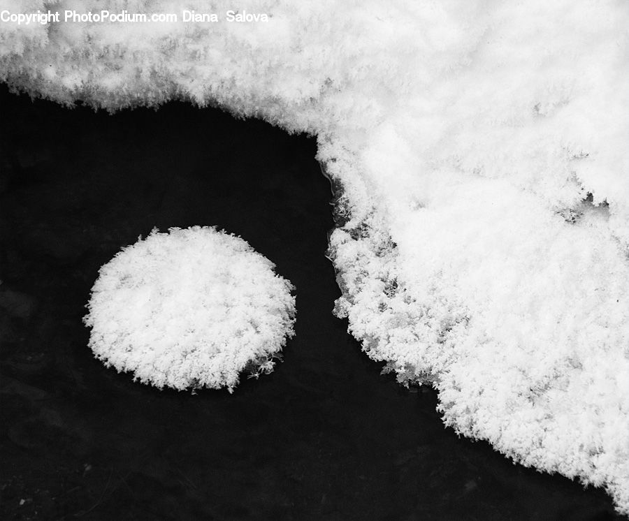 Frost, Ice, Outdoors, Snow