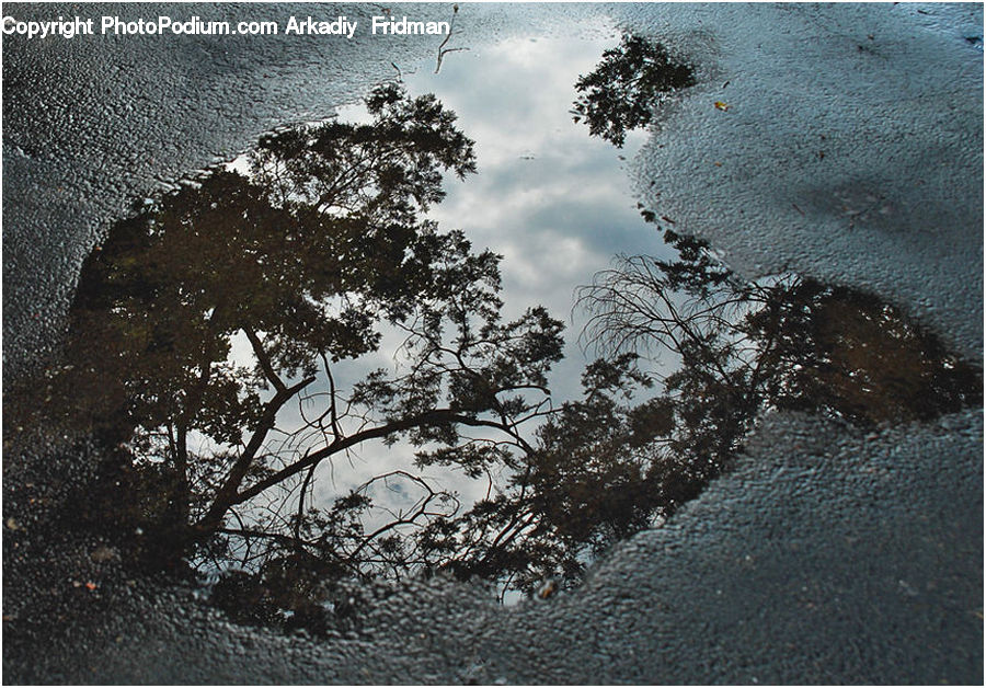 Puddle, Dirt Road, Gravel, Road