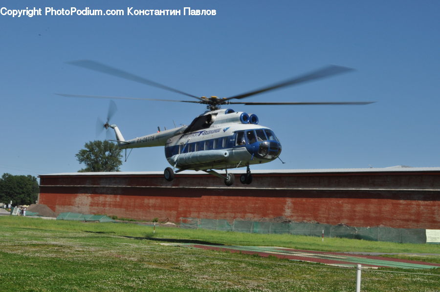 Aircraft, Helicopter, Plant, Potted Plant, Airliner, Flight, Field