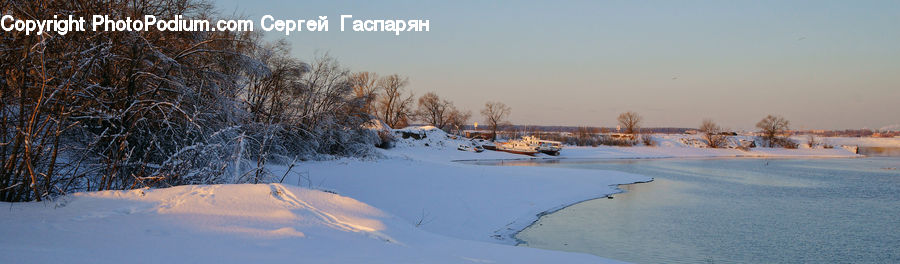 Ice, Outdoors, Snow, Landscape, Nature, Scenery, Birch