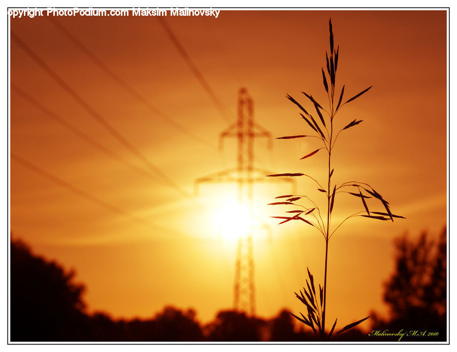 Dusk, Outdoors, Sky, Sunlight, Sunrise, Sunset, Grass