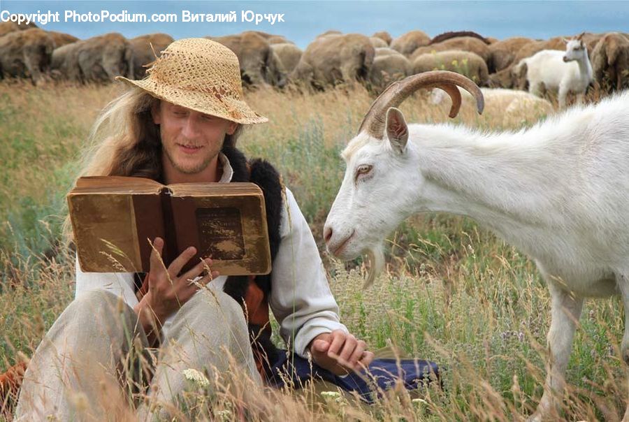 People, Person, Human, Animal, Goat, Mammal, Mountain Goat