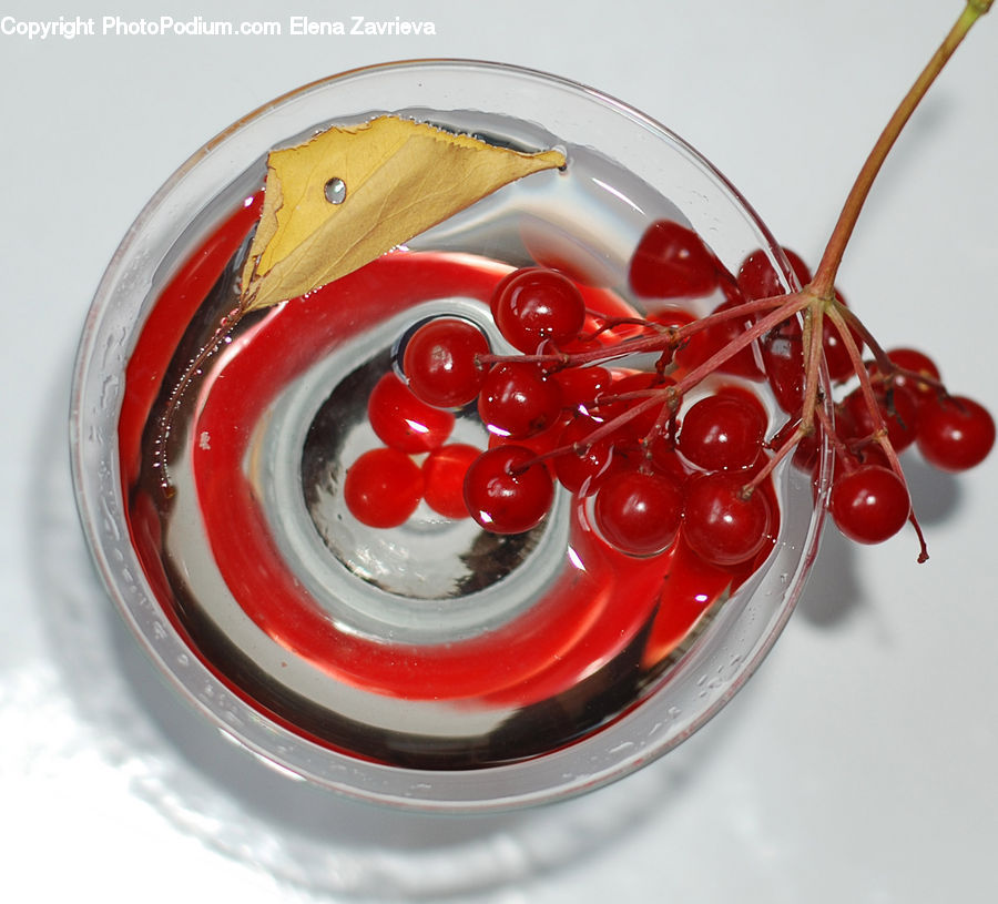 Cherry, Fruit, Flower Arrangement, Ikebana, Plant, Potted Plant, Vase