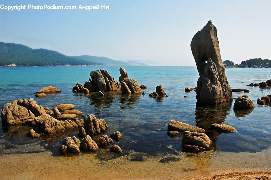 Rock, Beach, Coast, Outdoors, Sea, Water, Animal