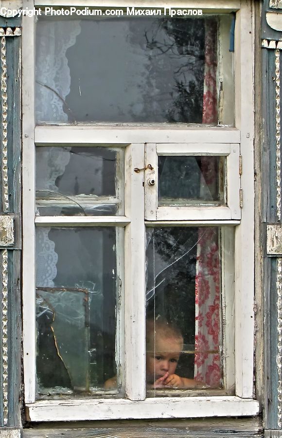 Window, People, Person, Human, Plant, Potted Plant, Child