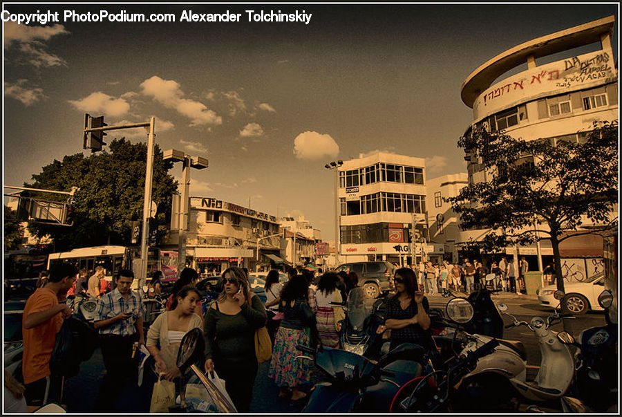 People, Person, Human, Plant, Potted Plant, Crowd, Parade