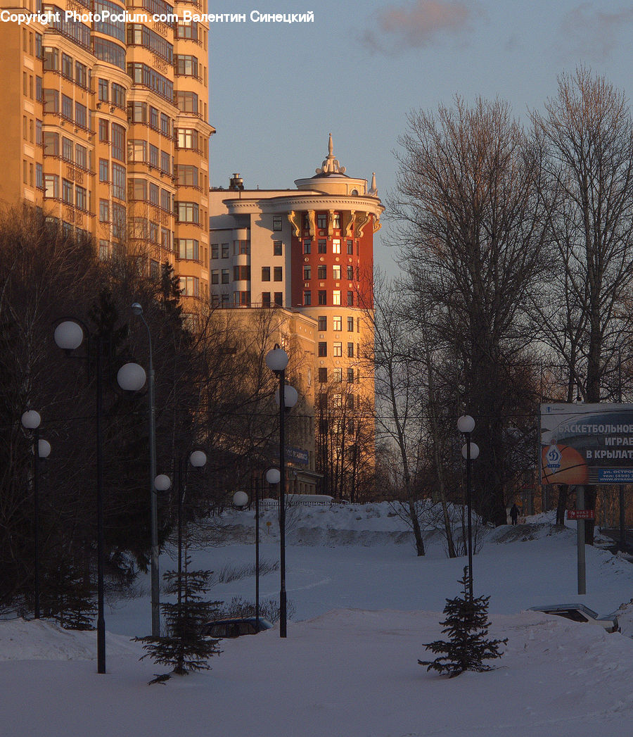 Conifer, Fir, Spruce, Wood, Architecture, Bell Tower, Clock Tower