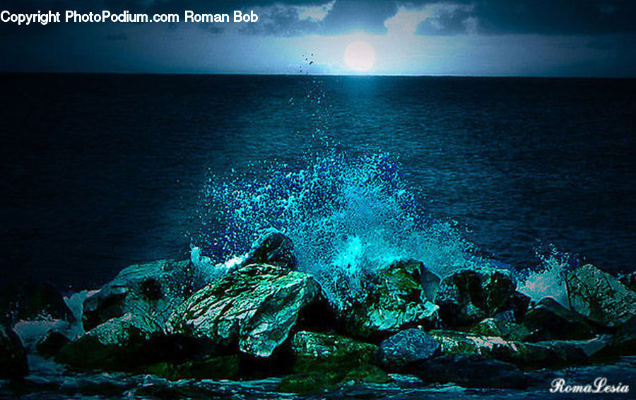 Coral Reef, Outdoors, Reef, Sea, Sea Life, Water, Coast