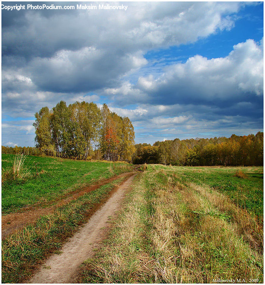 Dirt Road, Gravel, Road, Path, Walkway, Soil, Ground