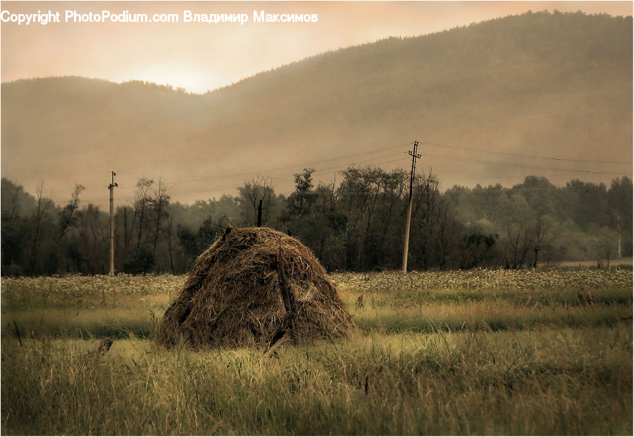 Countryside, Hay, Straw, Field, Grass, Grassland, Land