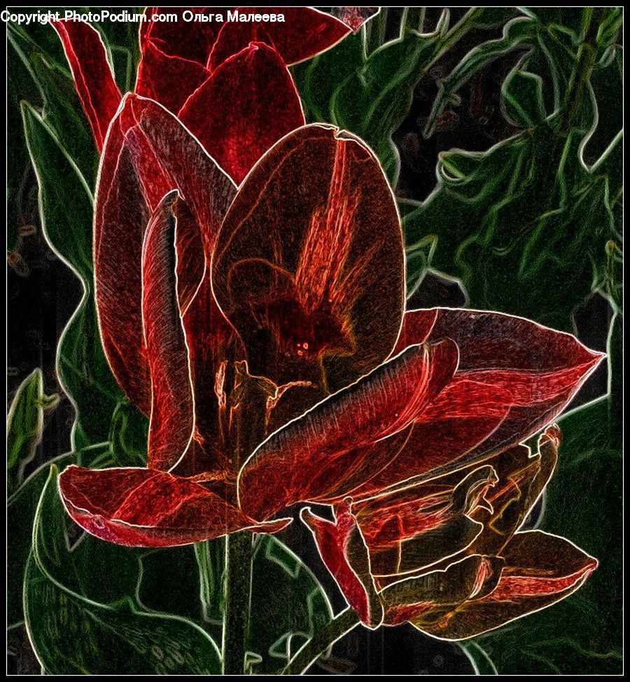 Art, Modern Art, Blossom, Flora, Flower, Geranium, Plant