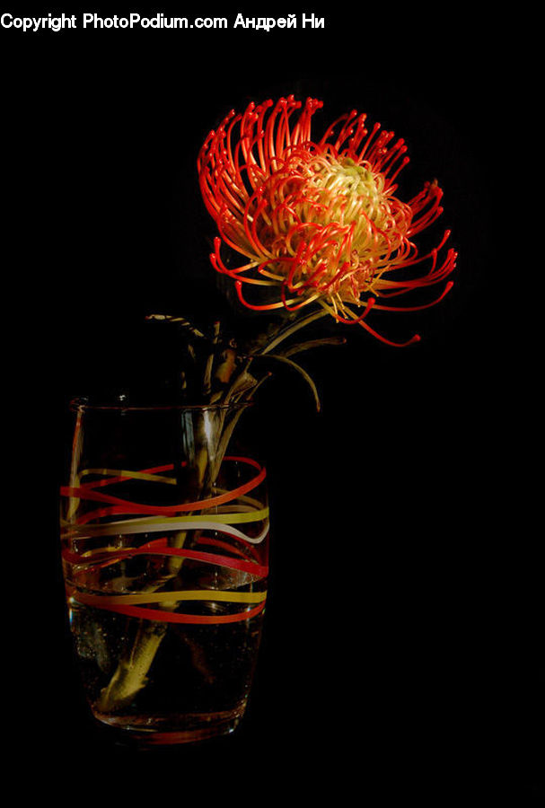Fireworks, Night, Alcohol, Beverage, Liquor, Glass, Beer