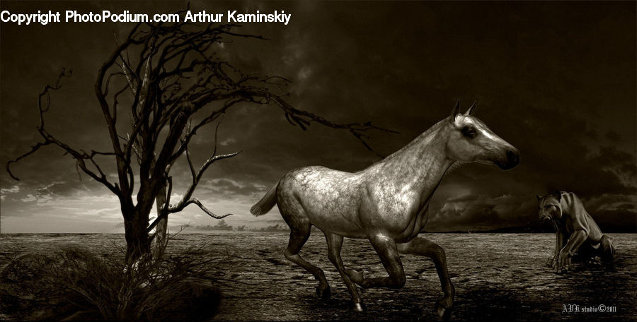 Animal, Horse, Mammal, Stallion, Deer, Elk, Wildlife