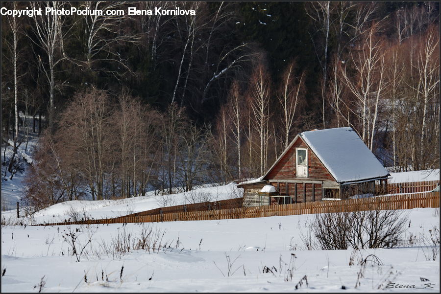 Building, Cottage, Housing, Cabin, Hut, Rural, Shack