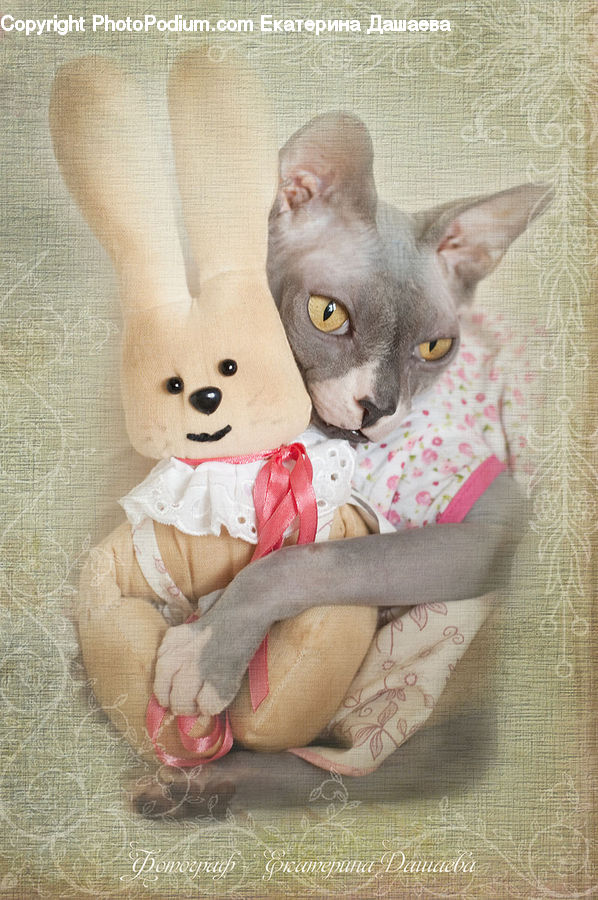 Animal, Cat, Pet, Siamese, Toy, Kitten, Mammal