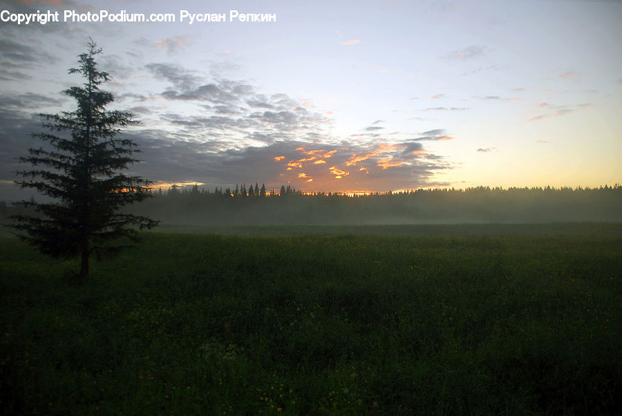 Dawn, Dusk, Sky, Sunrise, Sunset, Field, Grass