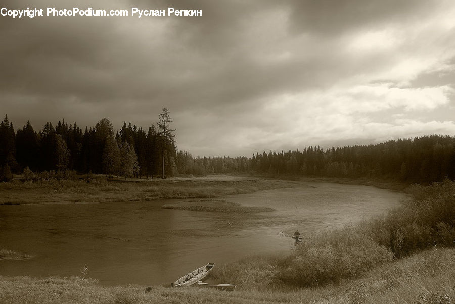Land, Marsh, Pond, Swamp, Water, Outdoors, Sand