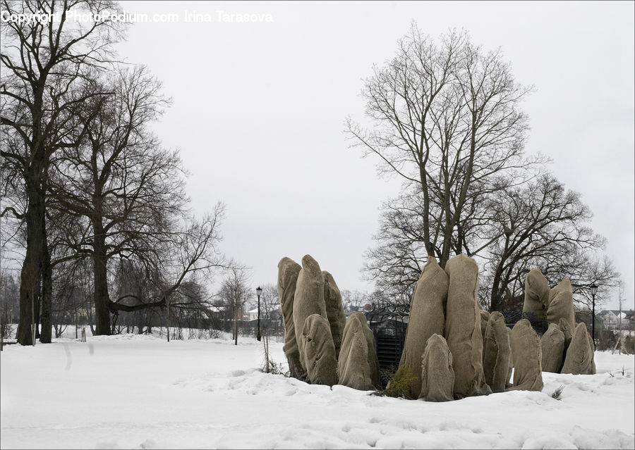 Ice, Outdoors, Snow, Art, Sculpture, Statue, Forest