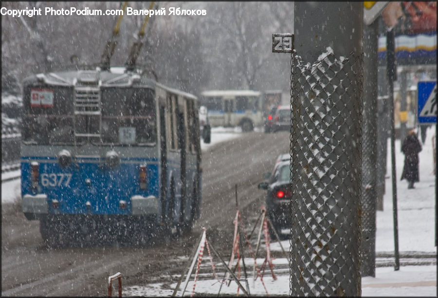 Blizzard, Outdoors, Snow, Weather, Winter, Automobile, Car
