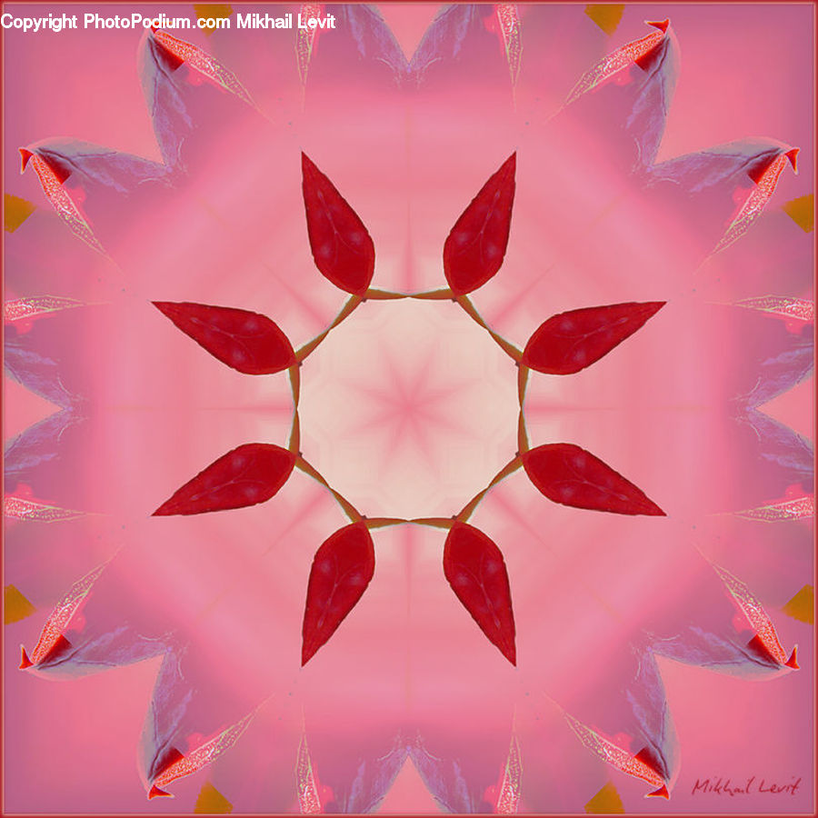Fractal, Art, Modern Art, Blossom, Flora, Flower, Plant