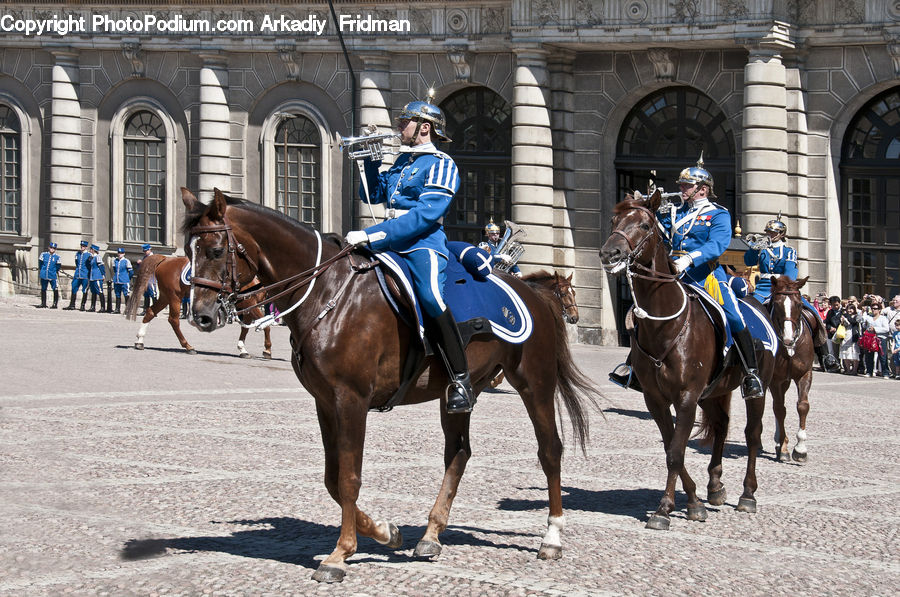 Animal, Horse, Mammal, People, Person, Human, Equestrian