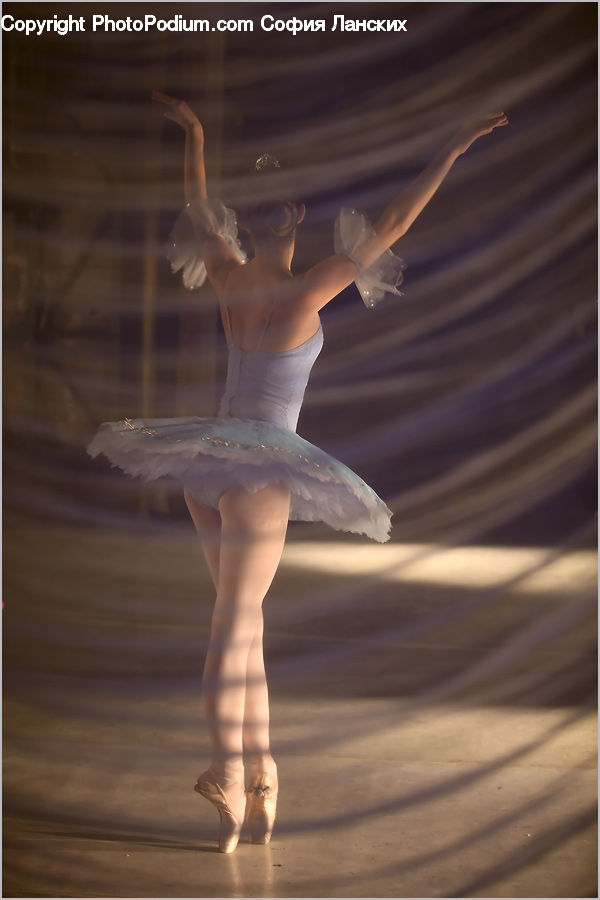Dance, Dance Pose, Bird, Seagull, Artemis