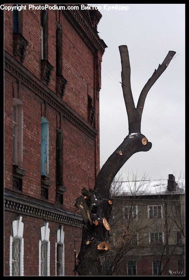 Brick, Art, Gargoyle, Statue