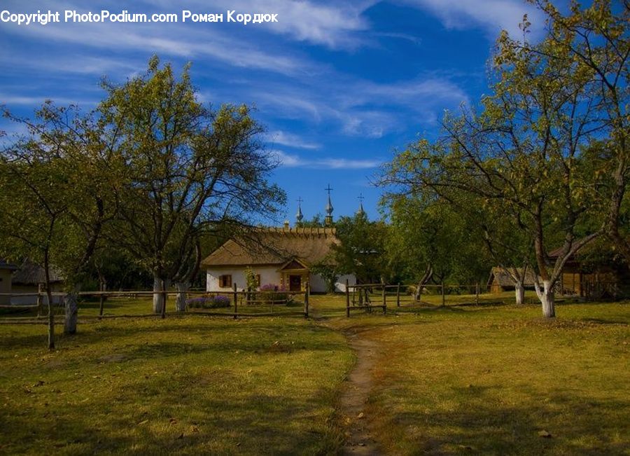 Field, Grass, Grassland, Land, Outdoors, Building, Cottage