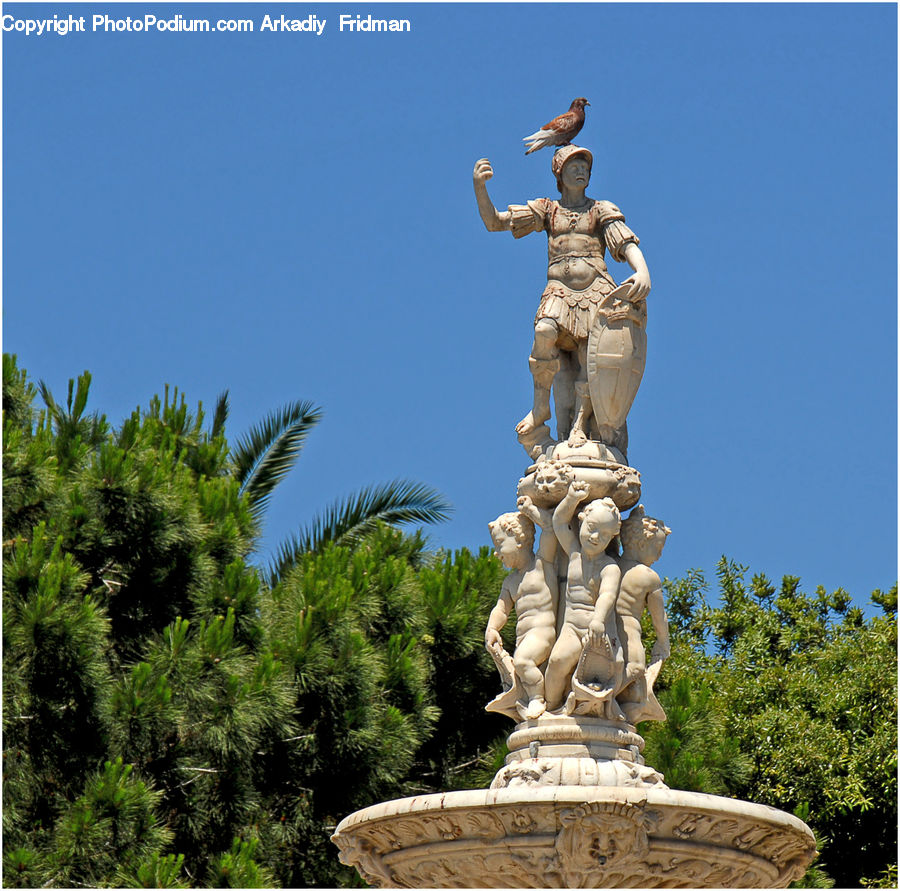Conifer, Fir, Plant, Tree, Fountain, Water, Monument