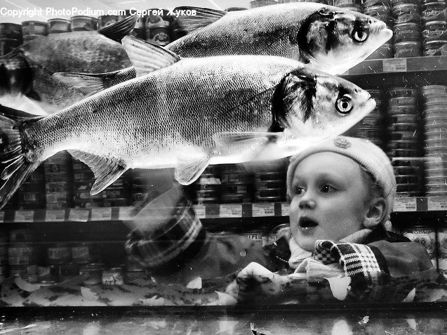 People, Person, Human, Food, Seafood, Portrait, Selfie